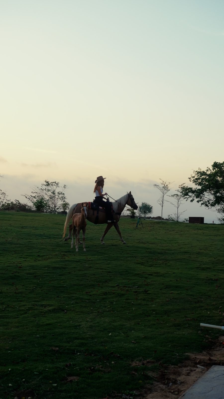 Una persona a caballo, a lo lejos, en los prados del proyecto